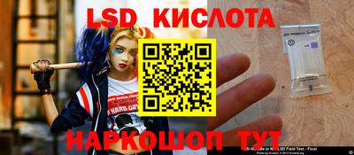 гидра Тулун