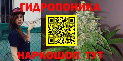 герыч Тула
