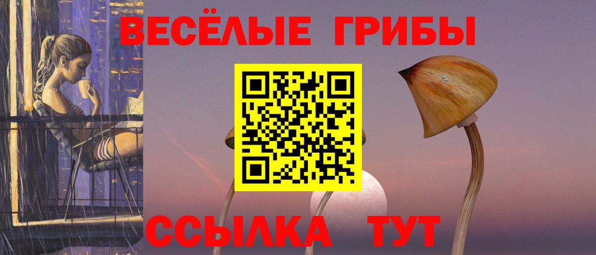 Псилоцибиновые грибы Cubensis Дзержинск